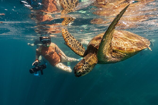 4-Hour Rarotonga Going Troppo Nightlife Tour - The rest of the bar route: 3 to 4 venues, ending near closing time
