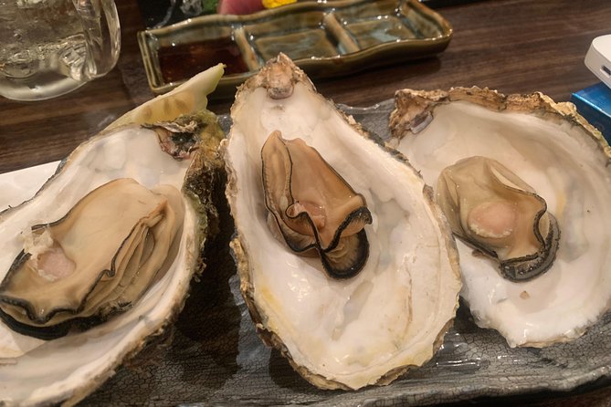 Hiroshima Izakaya Food and Drink Night Tour - Weather and Comfort Tips for a 7:00 pm Start