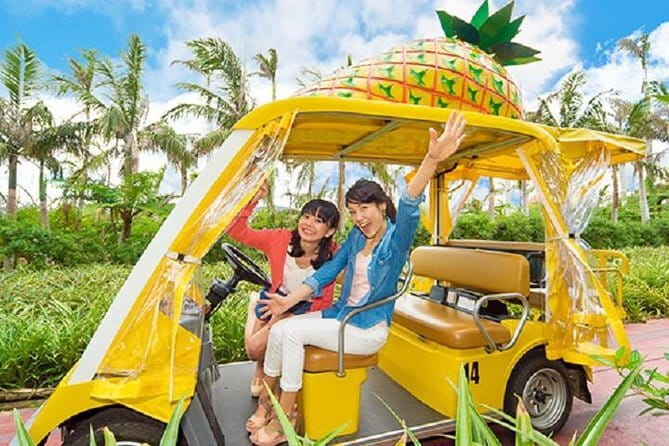 Naha Bar Hopping Tour in Okinawa - Practical Tips for a Smooth 6 PM Crawl in Okinawa Heat