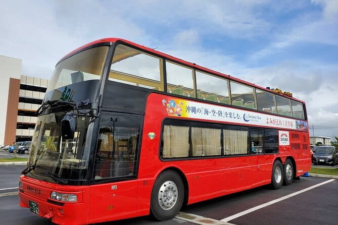 Naha Bar Hopping Tour in Okinawa - Book It or Pass: My Advice for Your Night in Naha