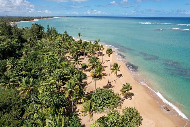 PR Chinchorreo-Beach and Bar Hopping Tour - Key highlights you’ll feel on this west-coast day