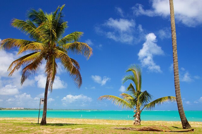 PR Chinchorreo-Beach and Bar Hopping Tour - Pako Pepe: the frozen-drink beach bar warm-up