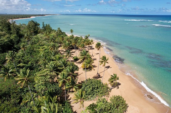 PR Chinchorreo-Beach and Bar Hopping Tour - Price and value: what the $135 actually buys you