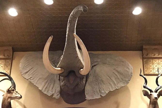 Private History Pub Tour through the Menger & Buckhorn Saloon - Menger Bar: the Teddy Roosevelt thread and the bar-as-a-stage feeling