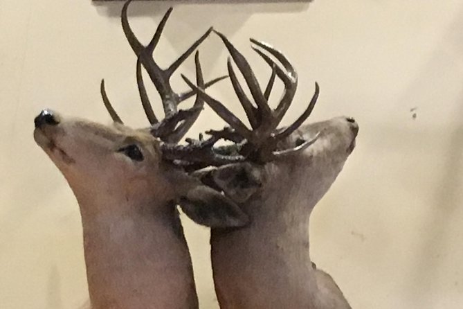 Private History Pub Tour through the Menger & Buckhorn Saloon - How the private format affects your day (and why it’s worth it)