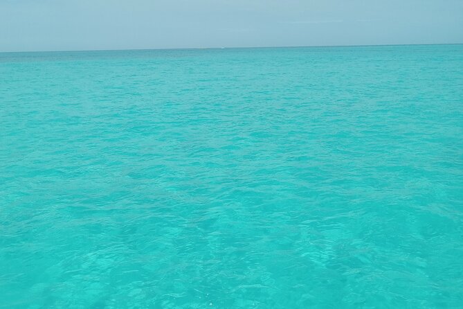Private speed boat beach and bar hopping visiting Rose island - Key points before you go