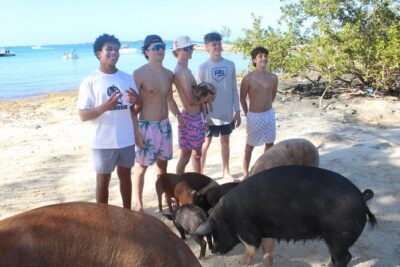 Private speed boat beach and bar hopping visiting Rose island - Rose Island and the three-island route: how the day actually works